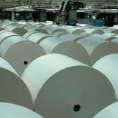 Customized Printer Thermal Label Jumbo Roll Bpa Free