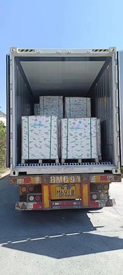 NCR-kopieerpapier A-klasse Kleine zwarte/blauwe afbeelding 50/55/75GSM koolstofvrij papier