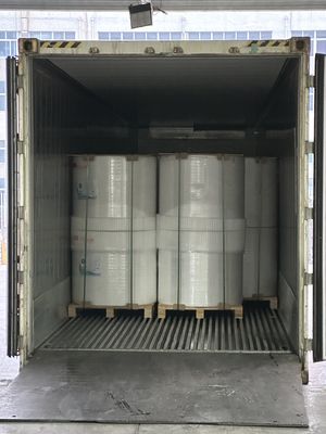 FOCUS Prime 100% geïmporteerde maagdelijke houtpulp 45g/48g/50g/55g/65g