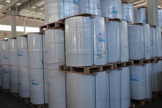 100% Geïmporteerd Maagdelijk Houtpulp BPA-vrij Thermisch Papier Hoge Gladheid Sterke Treksterkte Lange Beeldvormingsduur