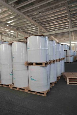 BPA-vrije thermische papieren rol voor POS-bewijzen, ATM-printerpapier, oliebestendige thermische rol