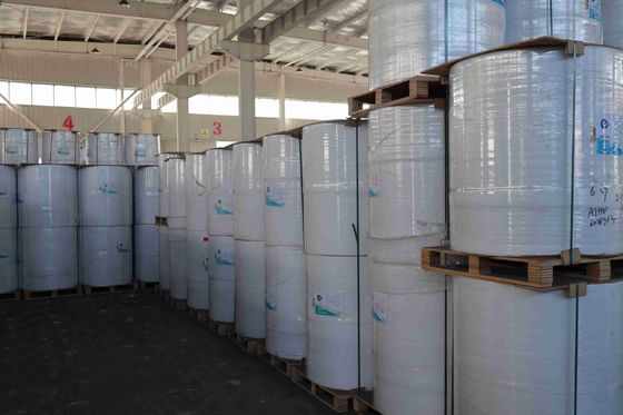 BPA-vrij Focus Merk Thermisch Papier Hoge Gladheid Geschikt Optische Dichtheid 100% Geïmporteerd Houtpulp